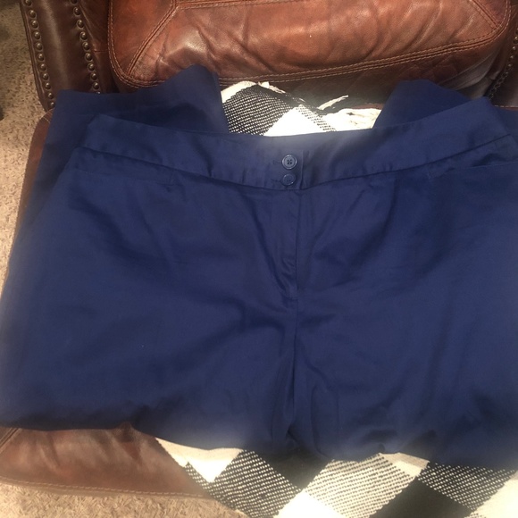 Lane Bryant Pants - Lane Bryant pants-size 18